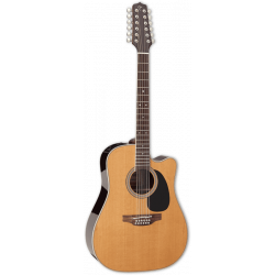 Takamine Dreadnought...