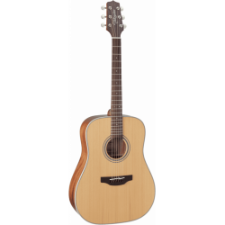 Takamine GD20-NS natural satin