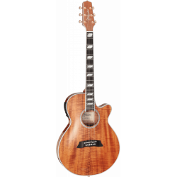 Takamine Thin Line TSP178AC...