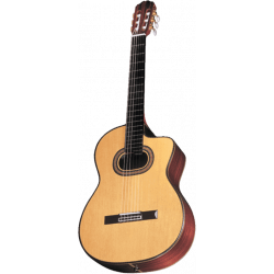 Takamine TH90 natural gloss