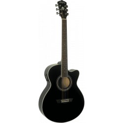 Washburn festival EA12B...