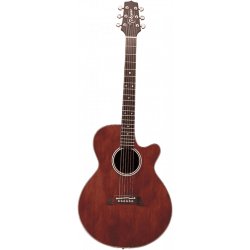 Takamine EF261S-AN gloss...