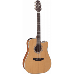 Takamine GD20CE-NS natural...