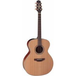 Takamine EN20 Dreadnought...