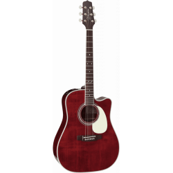 Takamine Signature John...