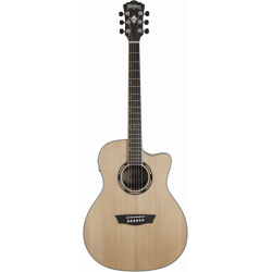 Washburn AG70CE...