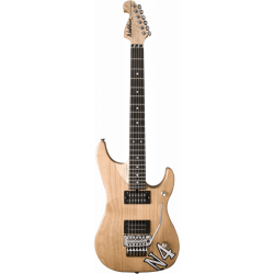 Washburn Nuno Bettencourt...