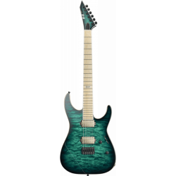 Esp E-II M-II NT hipshot...