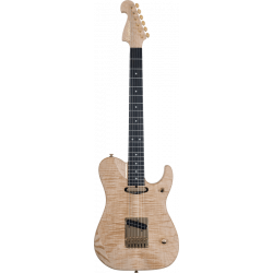 Washburn Nuno Bettencourt...