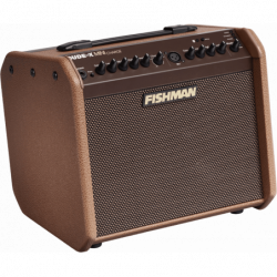 Fishman 60W sur batterie