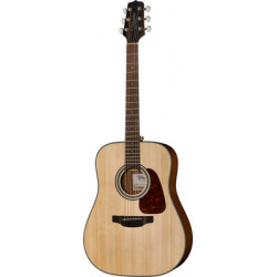 Takamine GD10-NS natural satin